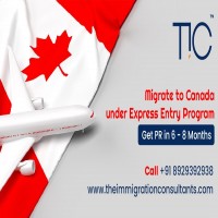 Canada Immigration Consultant in Pune Study Visa Service TIC 